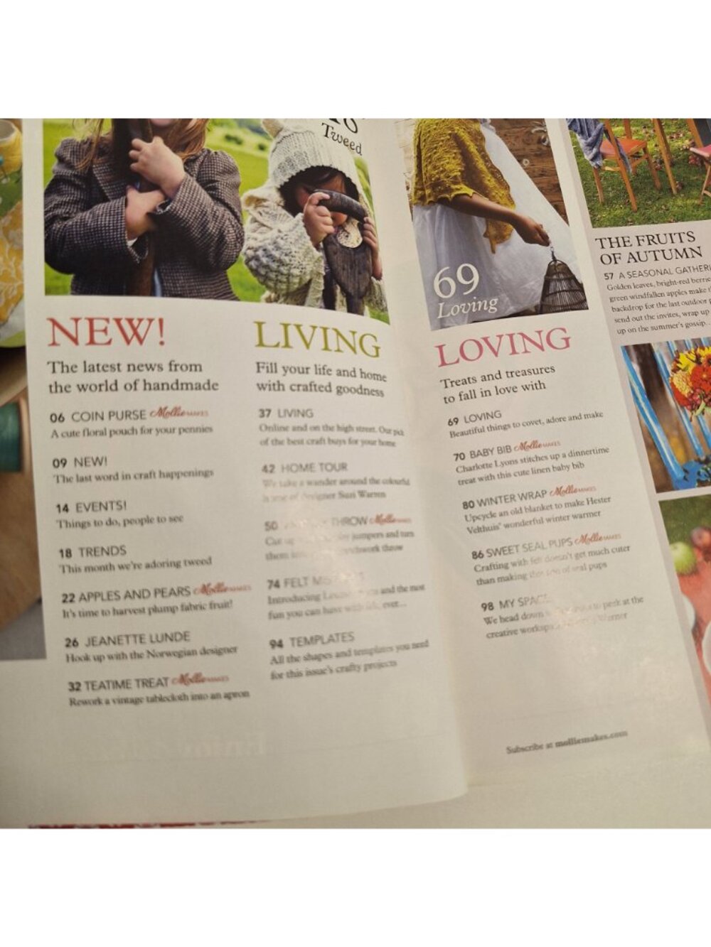 Mollie Makes Issue 6 UK 2011 Magazine Autumn Fruits Harvest Craft Projects - Picture 4 of 13